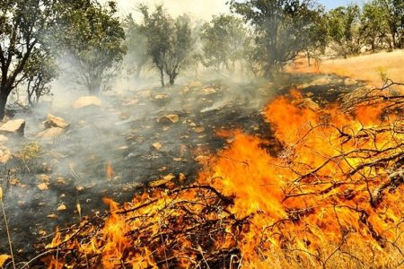 جنگل‌های بالادست کرخه آتش گرفتند