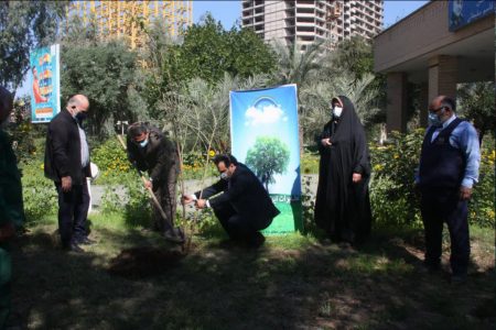 کاشت چند نهال درخت در مخابرات منطقه خوزستان