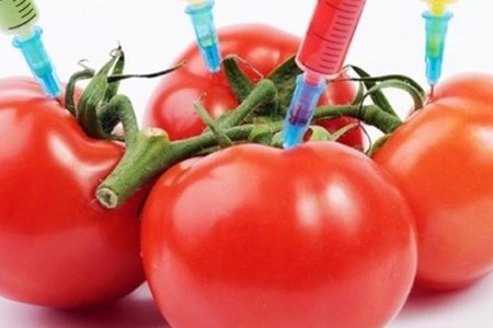 مجوز محیط زیست برای واردات محصولات تراریخته حذف شد