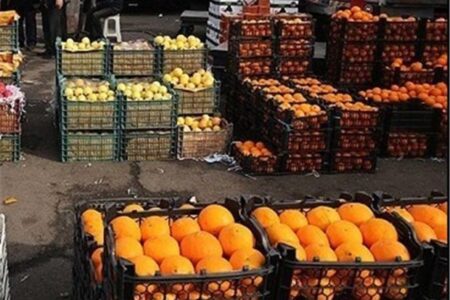 تامین و ذخیره‌سازی میوه شب عید در خوزستان