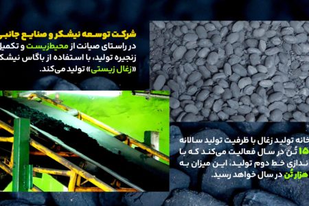 زغال زیستی از باگاس نیشکر تولید شد